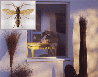 Insektenschutz